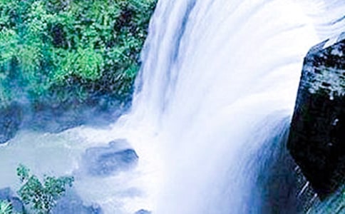 �������ٲ���ѧ���