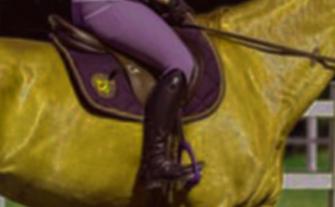 ���ر�����������300�ֺϼ�10ƪ