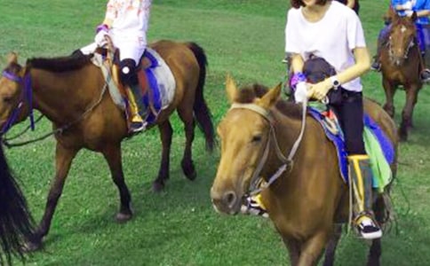 �������������ľ�ѡ500��