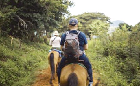 ����������ƪ