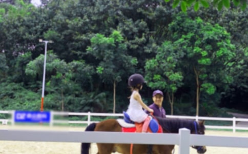 【必备】骑马作文汇总十篇