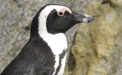 ��ѡ�������400��22ƪ