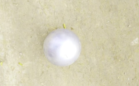 ���򻬲���Ǧ���˵�θ�