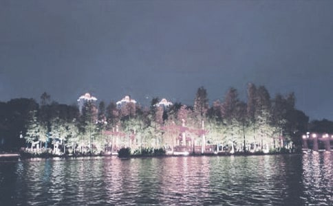 千灯湖的作文八篇