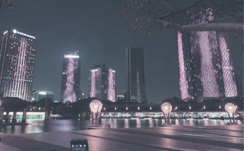 游南海千灯湖公园的作文200字