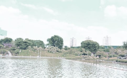 ��ǧ�ƺ���Сѧ����