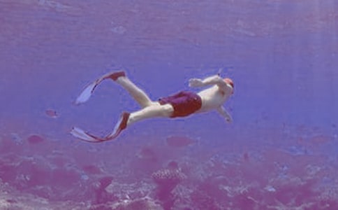 潜水作文500字锦集六篇