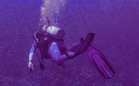 潜水记作文400字