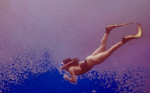 潜水的作文600字(通用24篇)