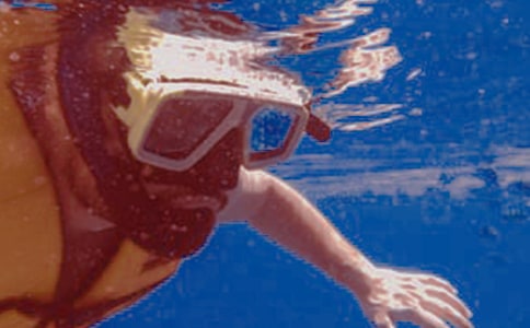 潜水的作文1500字