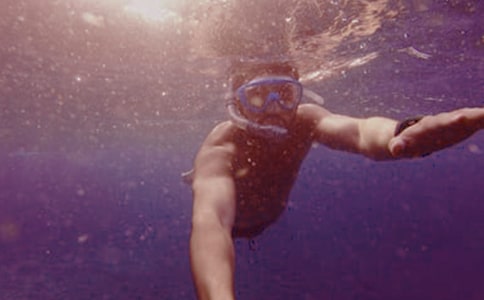 潜水的作文300字3篇