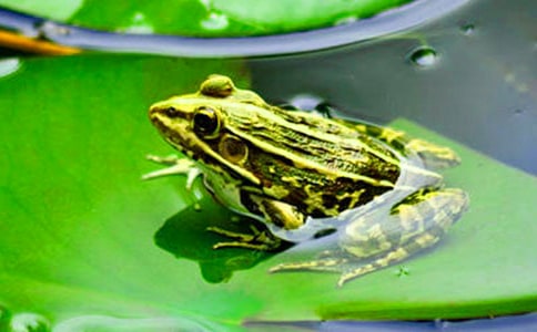 ��С���ܡ���ѧ��Ʒ���