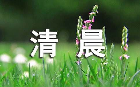 【热门】清晨作文300字4篇