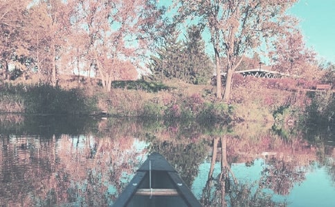 关于小学生秋季作文汇总五篇