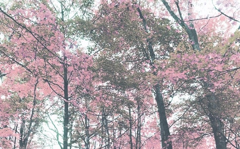 ���＾�ǿա���ѧ��˼����