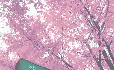 忧伤,忘了在秋季收起作文600字