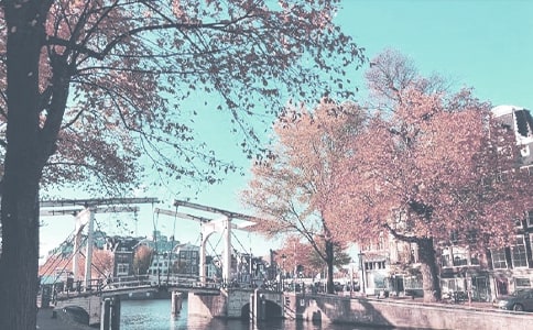 �＾�ʺ�ף��ů�ĵľ���290��