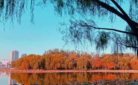 山村下的秋日生活随笔(精选21篇)