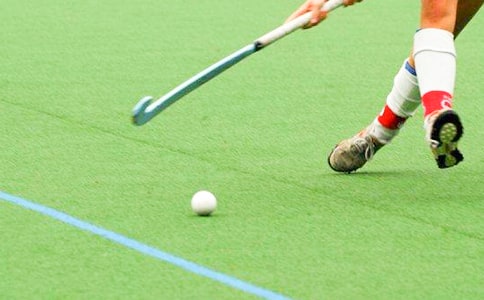 曲棍球场观比赛四年级作文500字