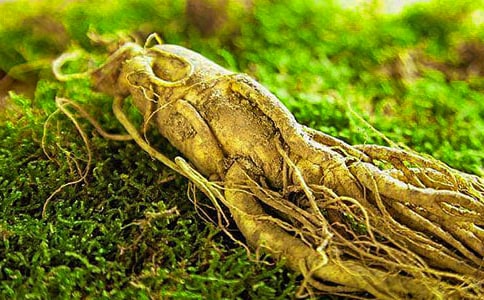 ����һ���˲��ų�һ����