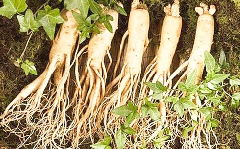 �ҷ������˲�����700��