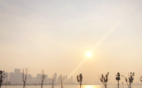 ���ϵ��ճ������ѧ��Ʒ���