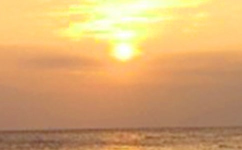 【实用】日落的作文300字4篇