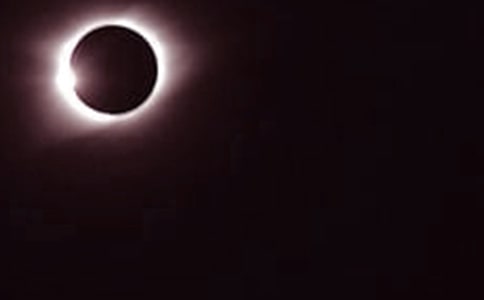 ����ʳ����ʳ����ѧ��˼4ƪ