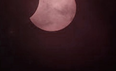 ��ʳ����ʳ�ĳ�����ʲô