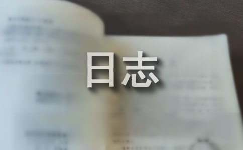 钉钉日志范文实用