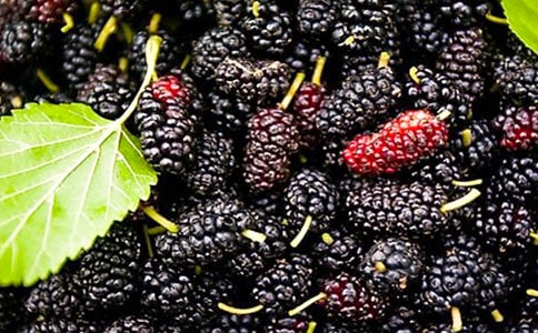 �����ɣ�����ģ���ѡ24ƪ��