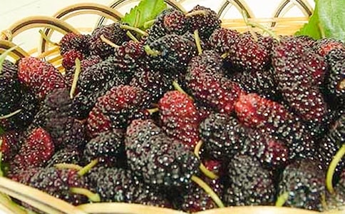 ��һ�β�ժɣ������