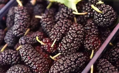 ժɣ��Ȥ������