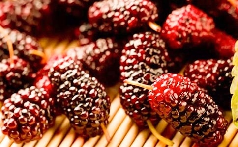 又到桑葚成熟时初三作文