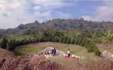 ��ѡɨĹ������300��39ƪ