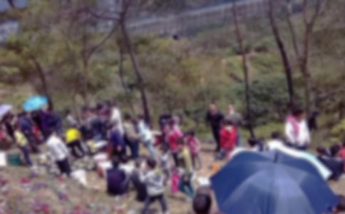 ����ɨĹ���ɷ���