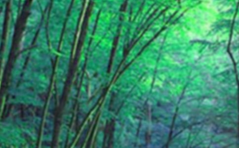 ɭ�ֲ�ԭ�������ʵʩ����(ͨ��10ƪ)