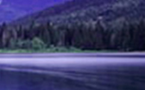 ʫ����ά��ɽˮ������