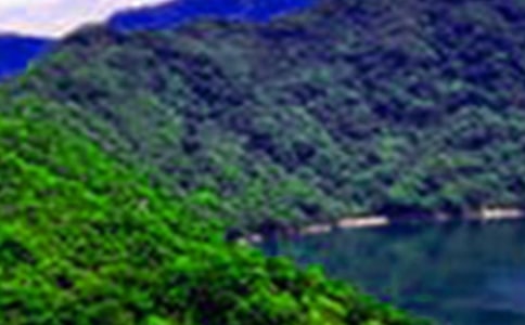 ������άɽˮʫ