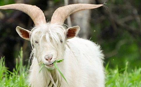 Сɽ��ͯ�����±�����400�֣�ͨ��20ƪ��