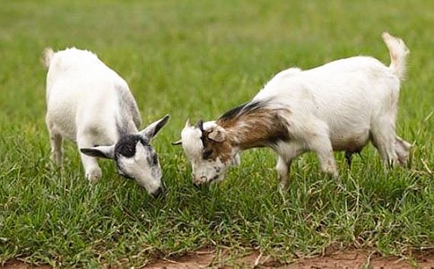 ���Ƽ���ɽ������300��21ƪ