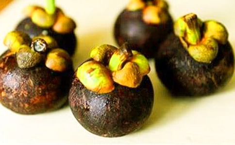 游南山竹海-游记作文600字