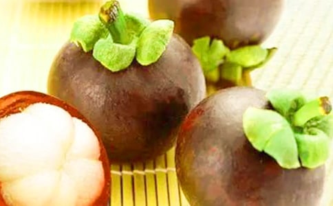 南山竹海之旅500字作文