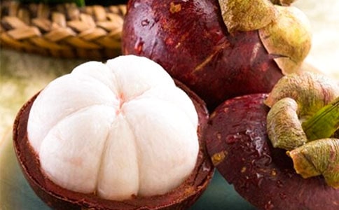 游南山竹海作文500字(通用29篇)