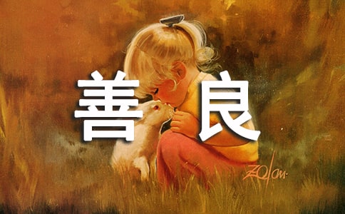 �����ķ���ʺ����