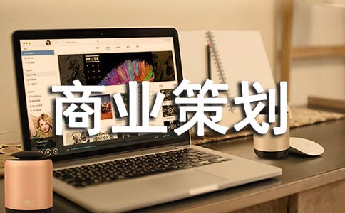 网站商业策划书4篇