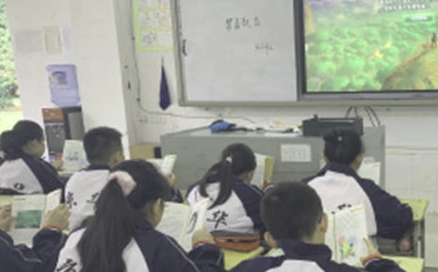 Сѧ���Ͽγٵ���������15ƪ