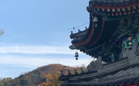 读《上下五千年》有感400字作文