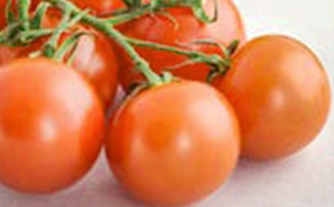 圣女果的二年级作文