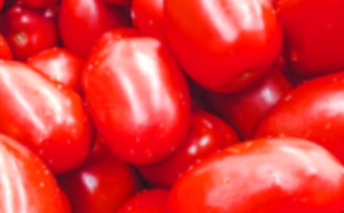 圣女果作文500字(通用15篇)